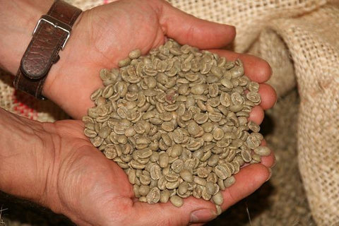 bulk green coffee beans