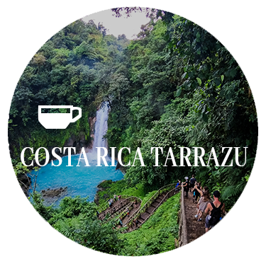 Costa Rica Coffee Beans