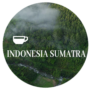 Indonesia Sumatra Coffee Beans