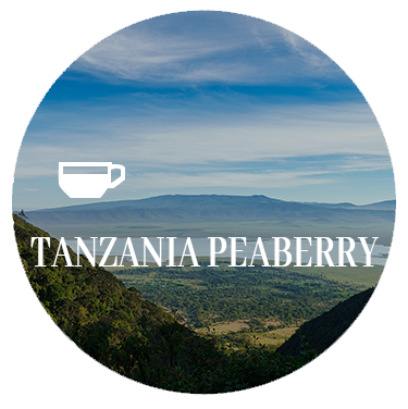 Tanzania Hill Country Peaberry Coffee Beans
