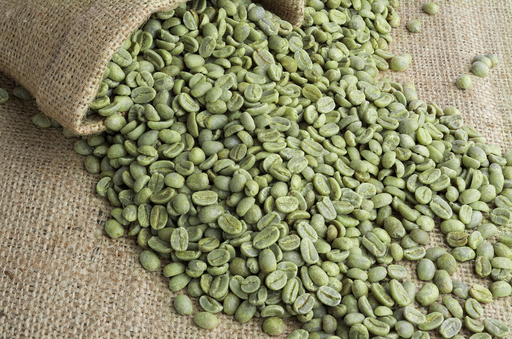 Green Coffee Beans Reduce Fat Fact or Fiction Java Bean Plus