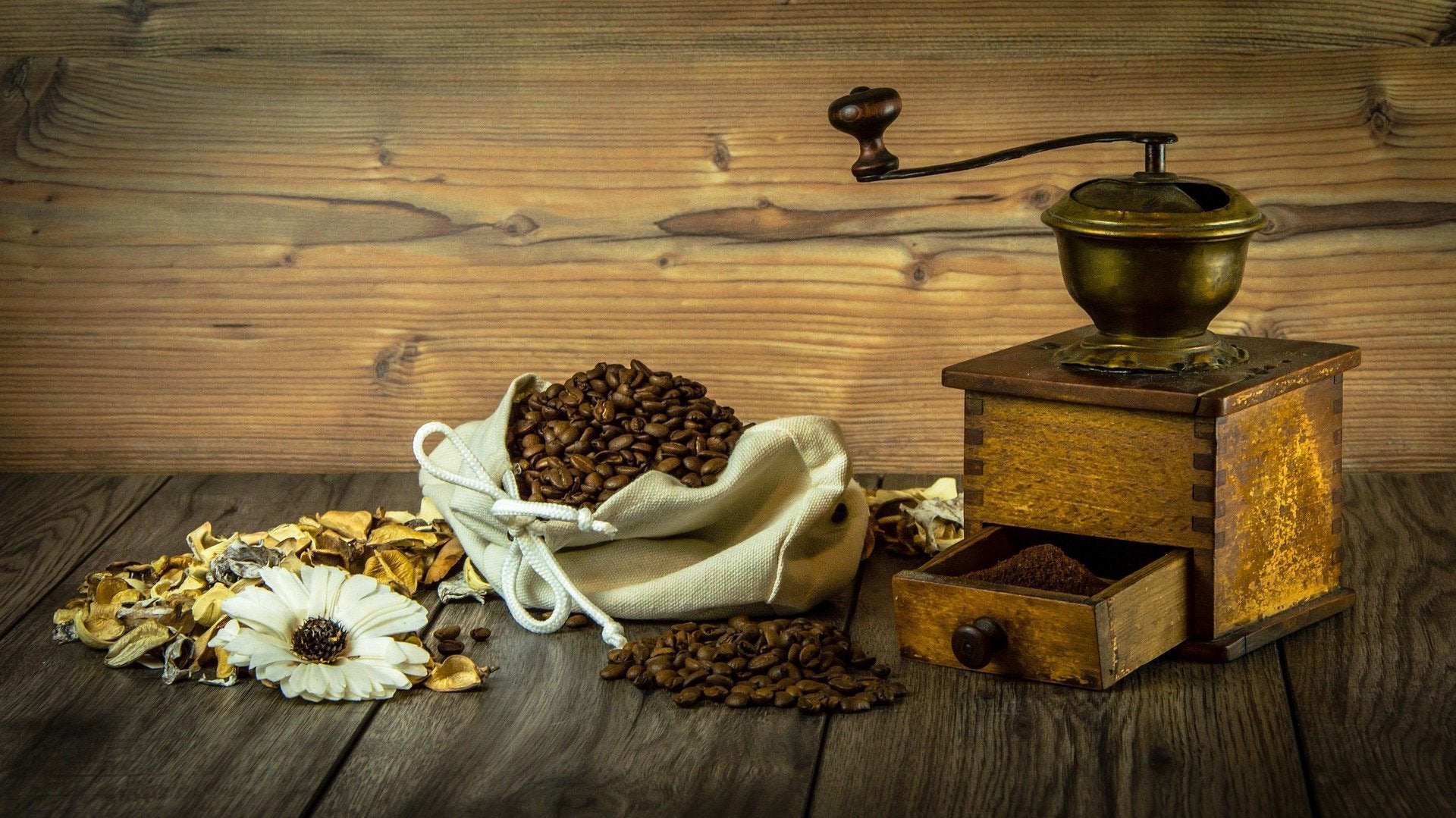 Which Type of Coffee Grinder is the Best?