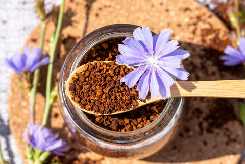 Chicory in Coffee: Why More Coffee Drinkers Are Adding It to Their Daily Brew