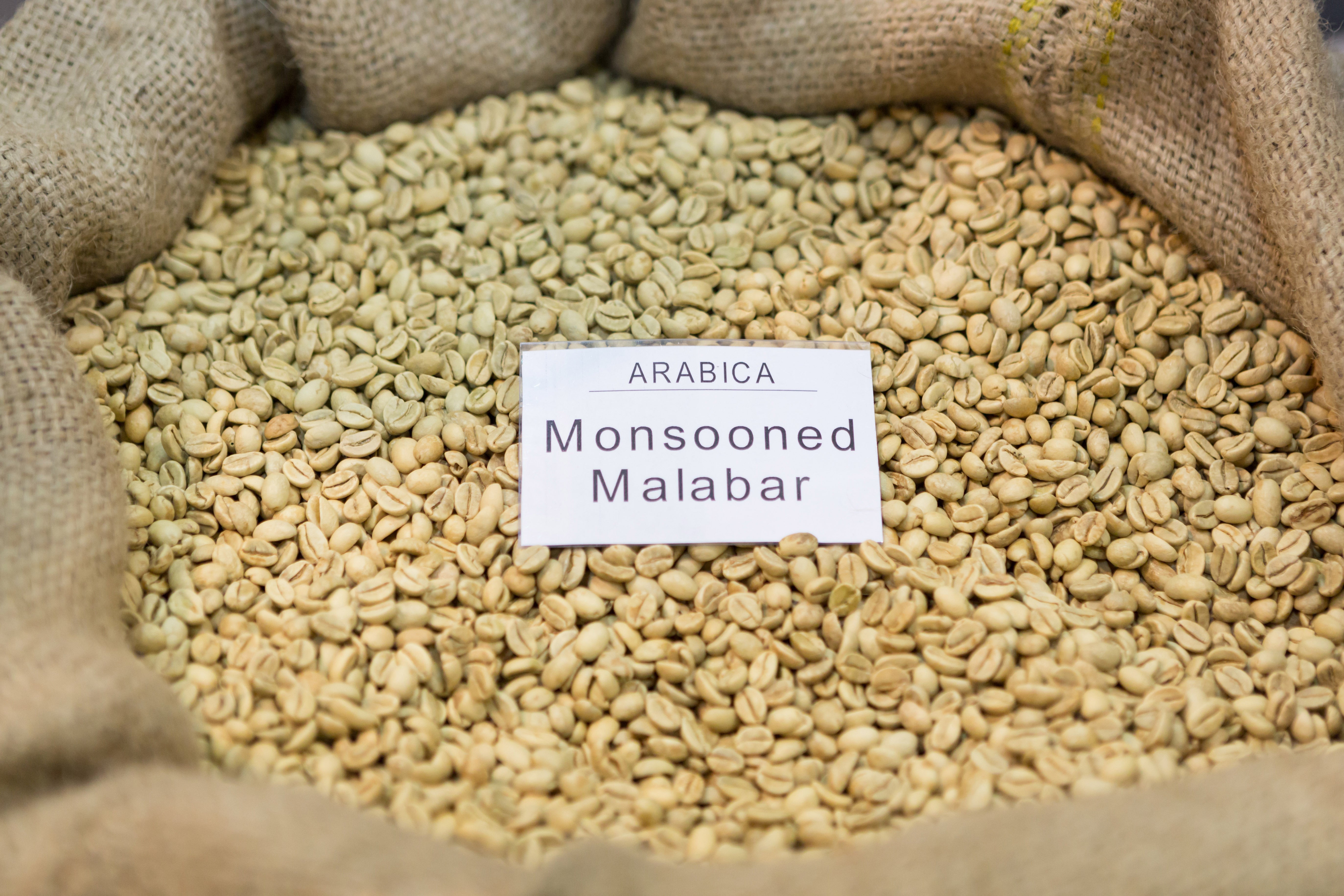 The Coffee Bean That Breaks All The Rules – Java Bean Plus