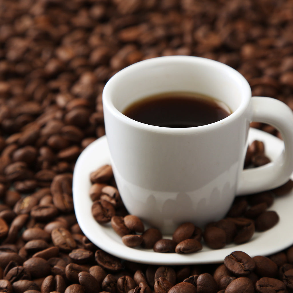 Monthly Coffee Specials - Limited Time Deals | Java Bean Plus