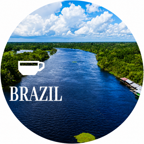 Brazil Coffee Beans