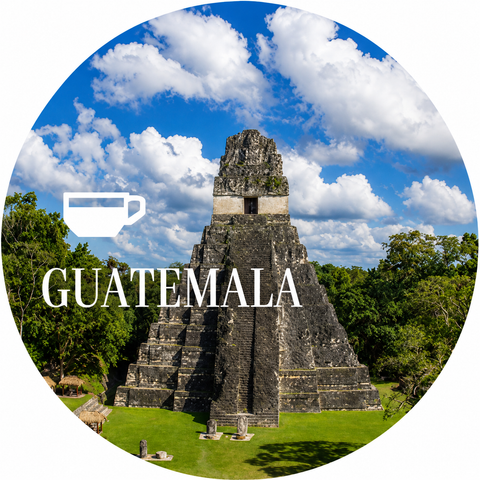 Guatemala Coffee Beans
