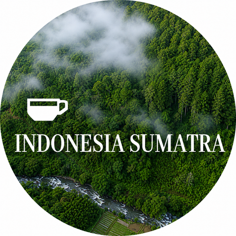 Indonesia Sumatra Coffee Beans
