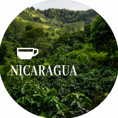 Nicaragua Coffee Beans