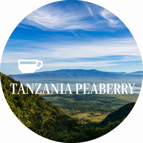 Tanzania Hill Country Peaberry Coffee Beans