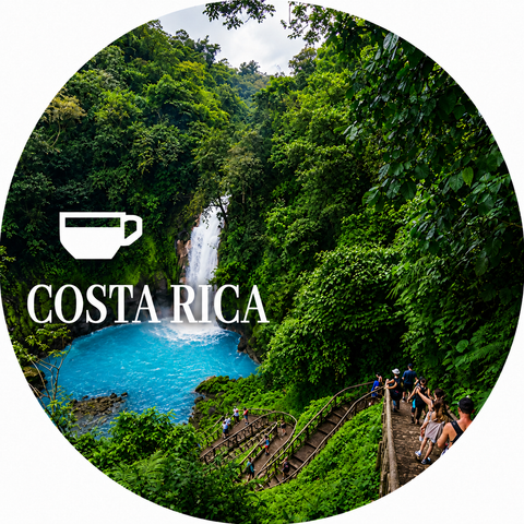 Costa Rica Coffee Beans