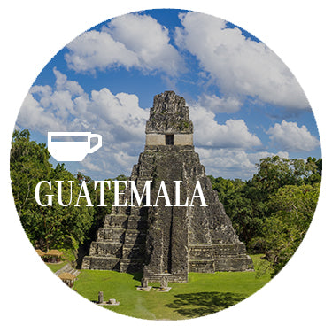 Guatemala Coffee Beans