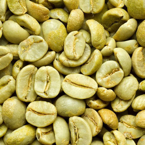Green Coffee - Tanzania Hill Country Peaberry Coffee Beans