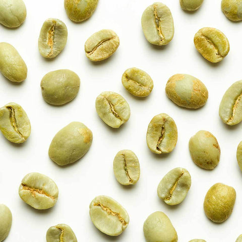 Green Coffee - Tanzania Hill Country Peaberry Coffee Beans