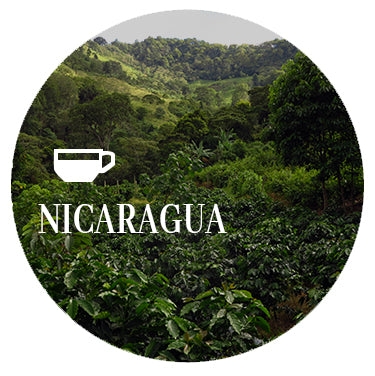 Nicaragua Coffee Beans