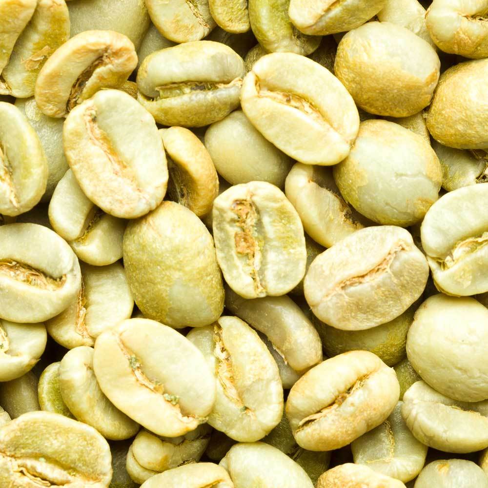 Ethiopia Unroasted Coffee Beans | Single Origin – Java Bean Plus