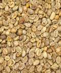 unrooasted vietnam robusta coffee beans