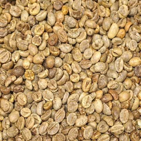 unrooasted vietnam robusta coffee beans