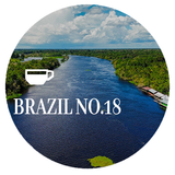 Brazil No. 18 Coffee Beans