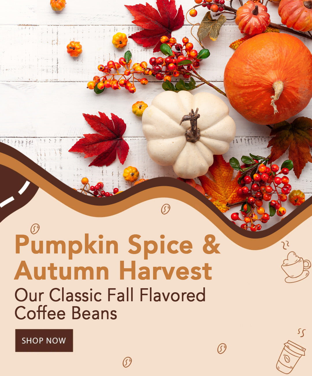 Roasted Coffee and Green Coffee: Java Bean Plus