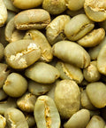 Premium indonesia coffee beans purchase