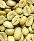 Purchase robusta coffee beans in wholesale rates