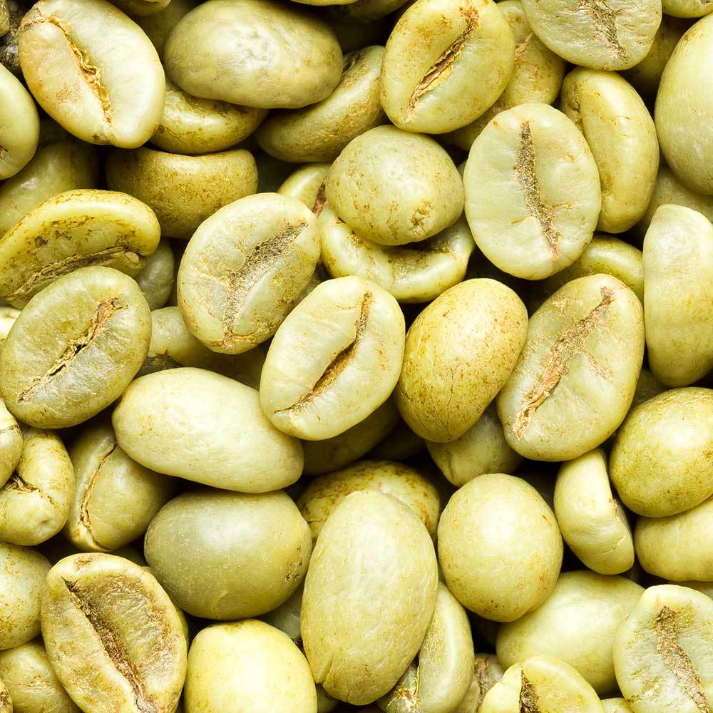 Robusta Coffee Beans