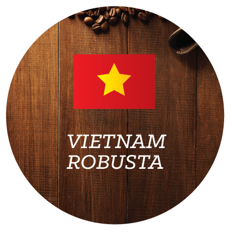 Purchase Vietnam Robusta coffee beans at wholesale rates
