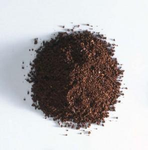 Ground chicory for sale